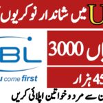 UBL Intermediate Jobs 2025